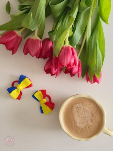 Little Romania - Set of Two Mini Bows Handmade mini bow set inspired by the Romanian flag (in blue, yellow and red).